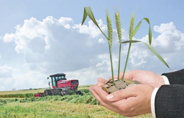 Перечень неплатежеспособных сельхозорганизаций Могилевской области, подлежащих, а также не подлежащих финансовому оздоровлению