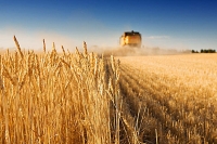 Более Br8,9 трлн выделят из бюджета на госпрограмму развития аграрного бизнеса в Беларуси в 2016 году