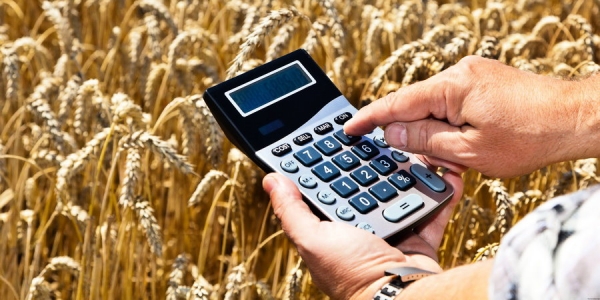 Перечень неплатежеспособных сельхозорганизаций Витебской области, подлежащих, а также не подлежащих финансовому оздоровлению