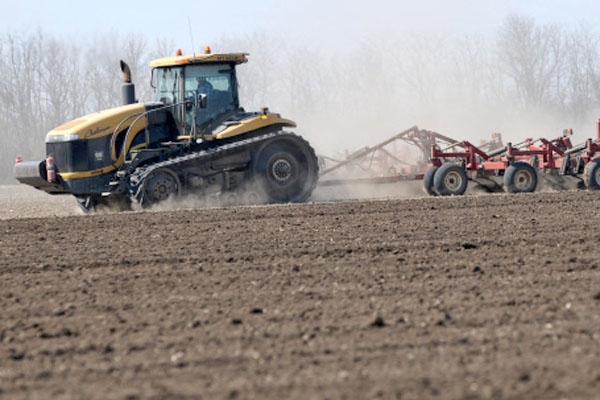 Беларусь. Сев ярового рапса превысил прогнозные показатели
