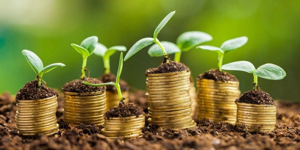 Перечень неплатежеспособных сельхозорганизаций Гродненской области, подлежащих финансовому оздоровлению