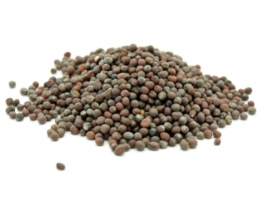 Корма из рапса